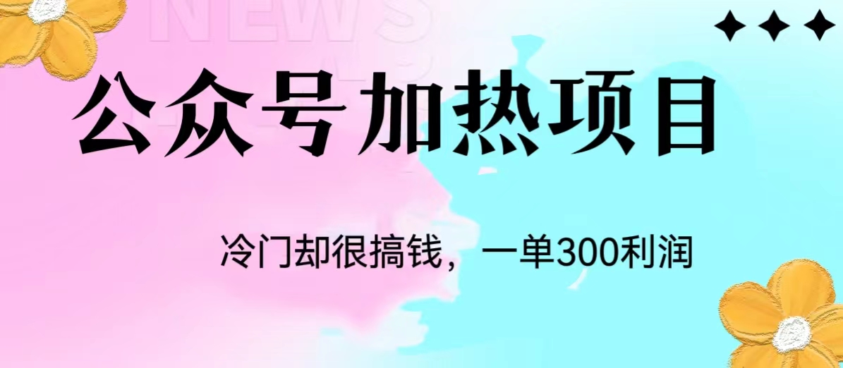 冷门公众号加热项目，每天1-2小时，一单100-300+-清高网赚