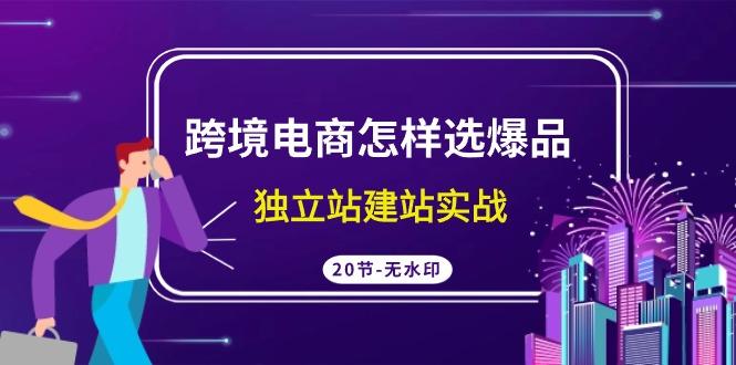 (9369期)跨境电商怎样选爆品，独立站建站实战(20节高清无水印课)-优优云网创