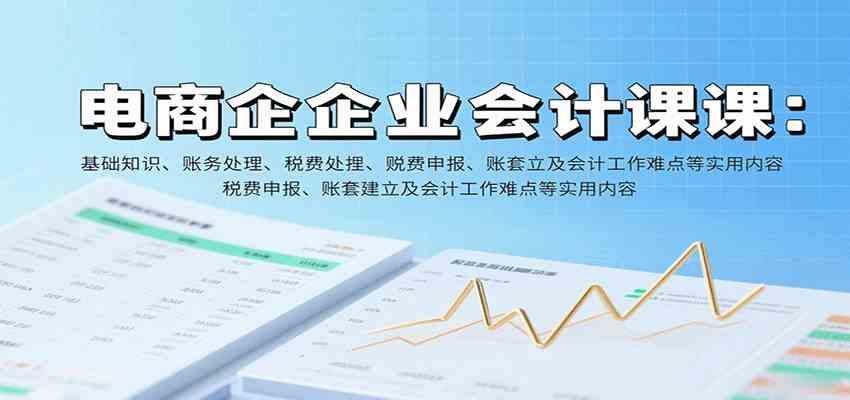 电商企业会计课：基础知识、账务处理、税费申报、账套建立及会计工作难点等实用内容-优优云网创