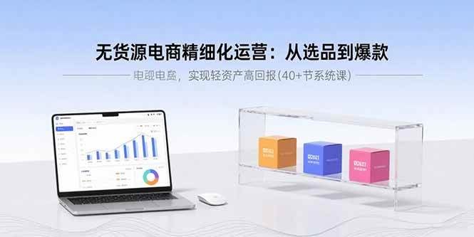 （15896期）无货源电商精细化运营：从选品到爆款，实现轻资产高回报(40+节系统课)-优优云网创