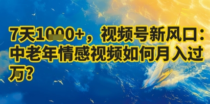 7天收益1k+，视频号新风口：中老年情感视频如何月入过W?-优优云网创