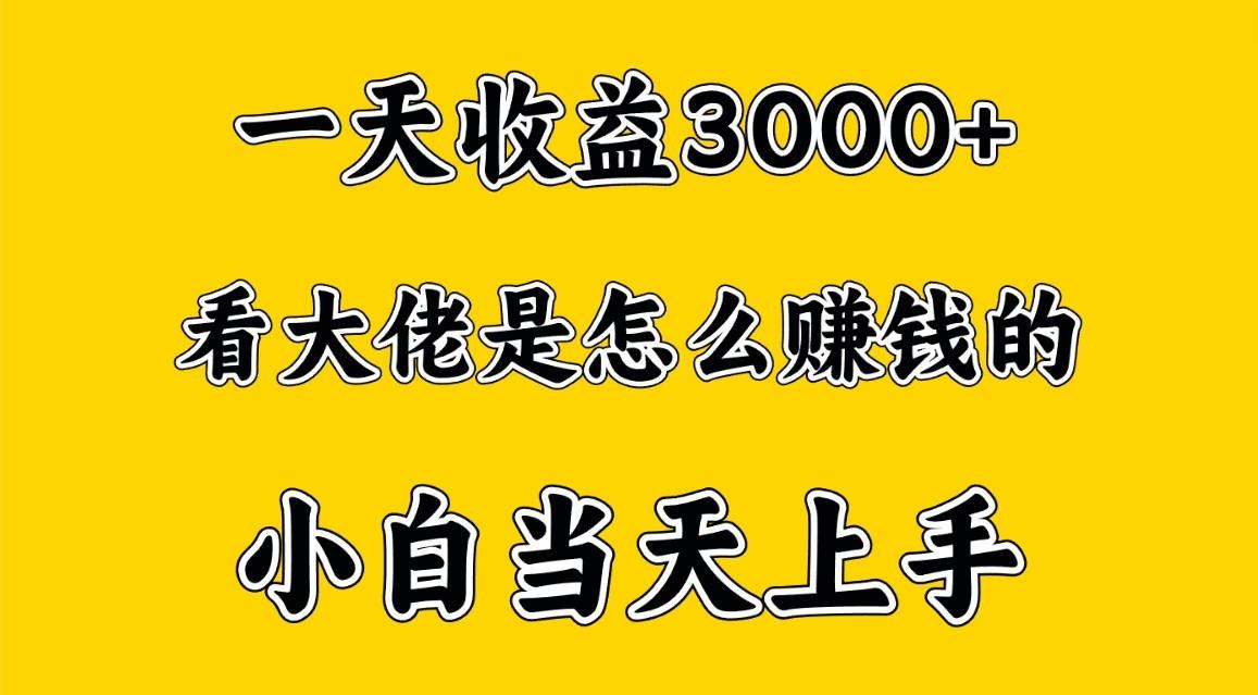 一天赚3000多，大佬是这样赚到钱的，小白当天上手，穷人翻身项目-优优云网创