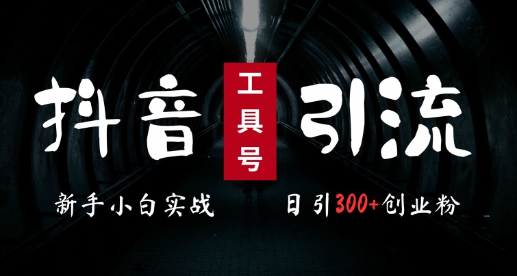 2024最新抖音工具号引流玩法，高效日引300+创业粉，当天变现5k，小白也可成为实战高手-优优云网创