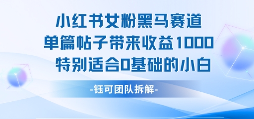 小红书女粉黑马赛道单篇帖子带来收益1k+，特别适合0基础的小白-优优云网创