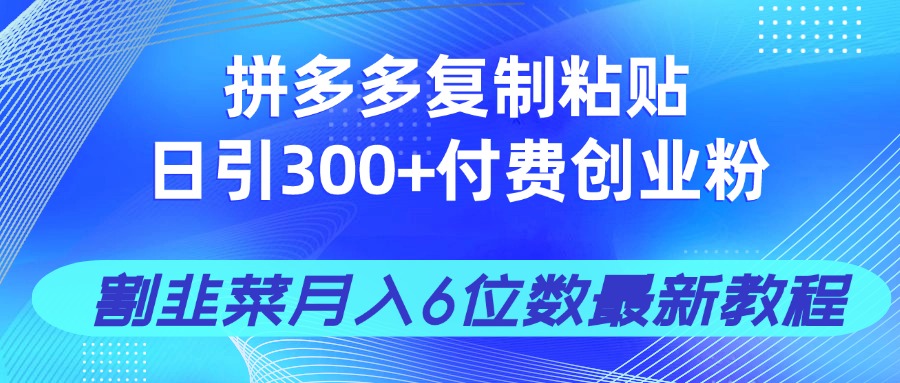 拼多多复制粘贴日引300+付费创业粉，割韭菜月入6位数最新教程！-优优云网创