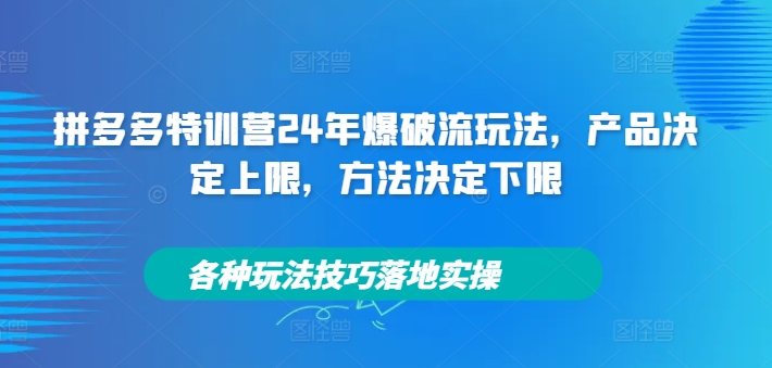 拼多多特训营24年爆破流玩法，产品决定上限，方法决定下限，各种玩法技巧落地实操-优优云网创