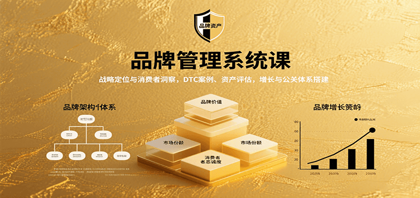 品牌管理系统课：战略定位与消费者洞察，DTC案例、资产评估，增长与公关体系搭建-优优云网创