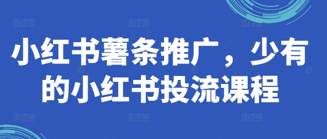 小红书薯条推广，少有的小红书投流课程-优优云网创