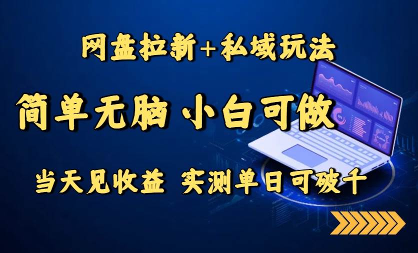 （15744期）网盘拉新+私域玩法，简单无脑，小白可做，当天见收益，实测单日可破千-优优云网创