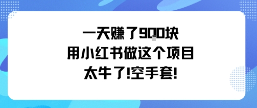 一天挣了9张用小红书做这个项目太牛了，空手套-优优云网创