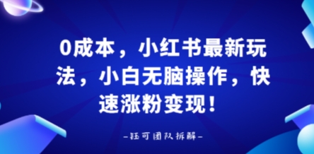 0成本，小红书最新玩法，小白无脑操作，快速涨粉变现-优优云网创