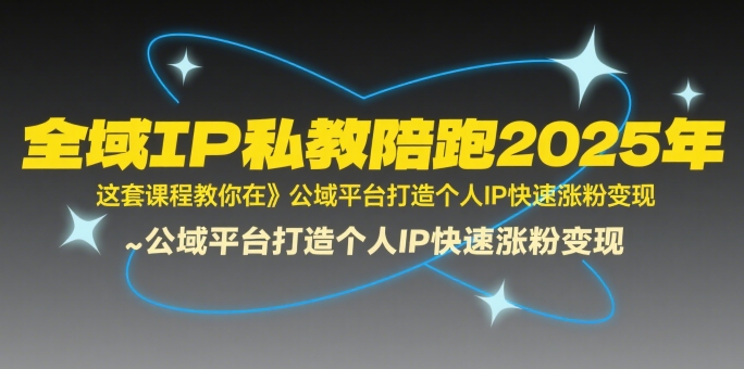 全域IP私教陪跑2025年，这套课程教你在公域平台打造个人IP快速涨粉变现-优优云网创