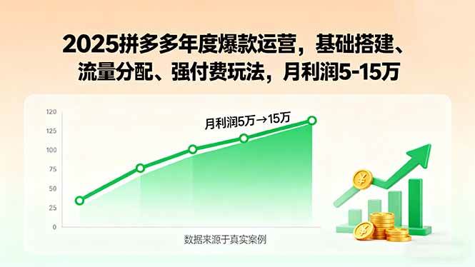 （15973期）2025拼多多年度爆款运营，基础搭建、流量分配、强付费玩法，月利润5-15万-优优云网创