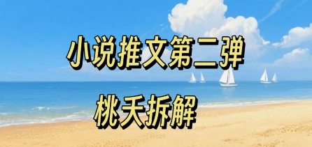 小说推文项目操作全流程第二弹，0粉就能做，门槛低非常适合新手-优优云网创