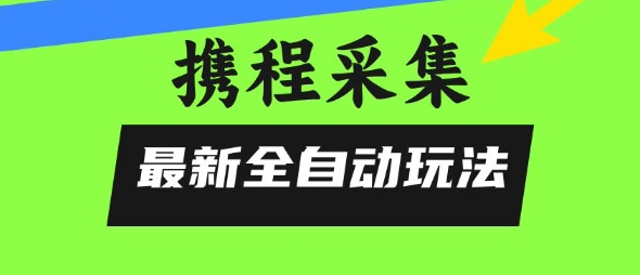 携程信息采集全自动玩法，0风控，无脑开干【揭秘】-优优云网创