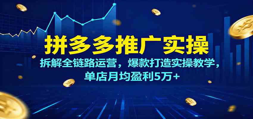 拼多多推广实操，拆解全链路运营，爆款打造实操教学，单店月均盈利5万+-优优云网创